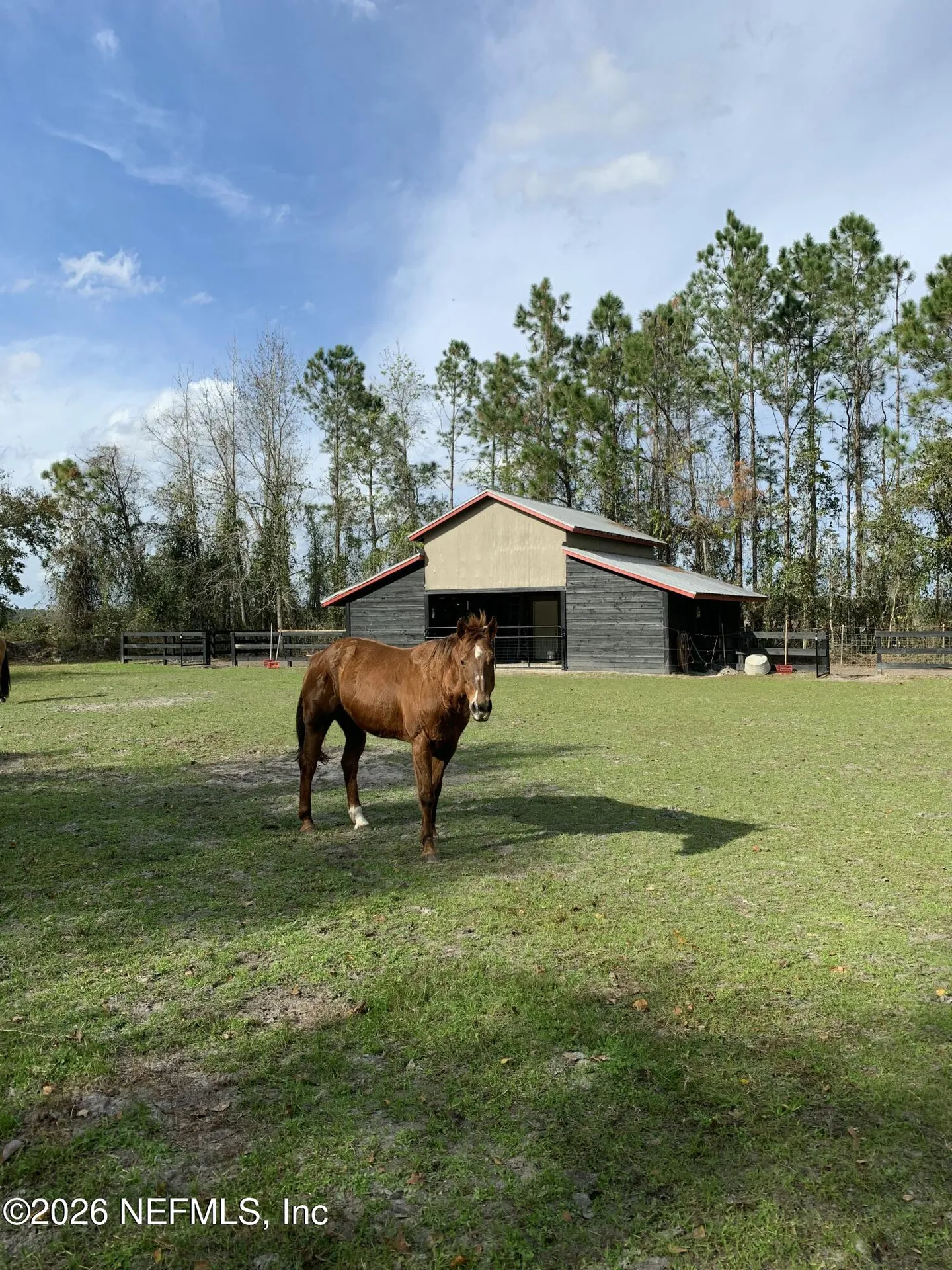 7006 County Road 208 St. Augustine FL 32092