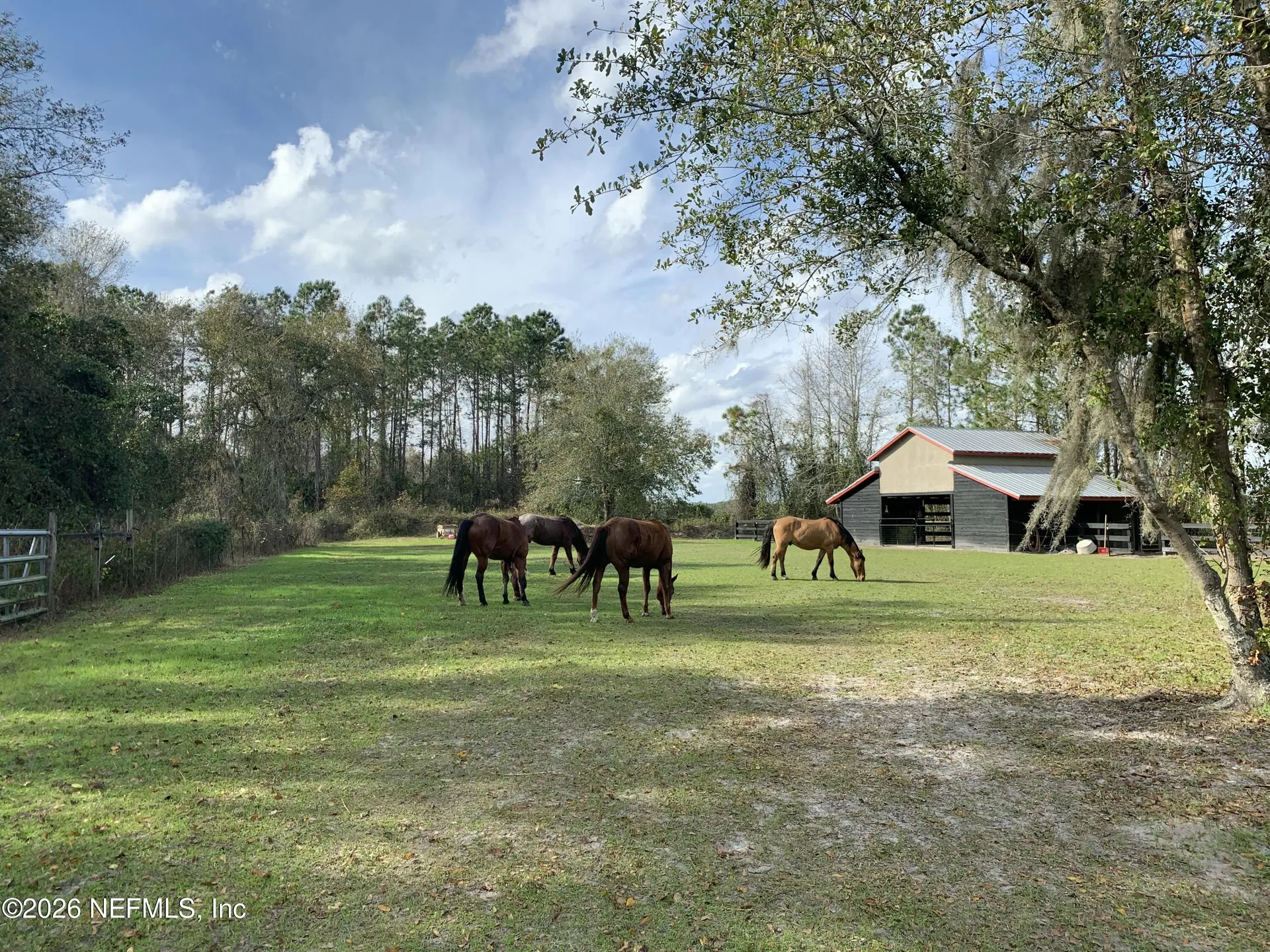 7006 County Road 208 St. Augustine FL 32092