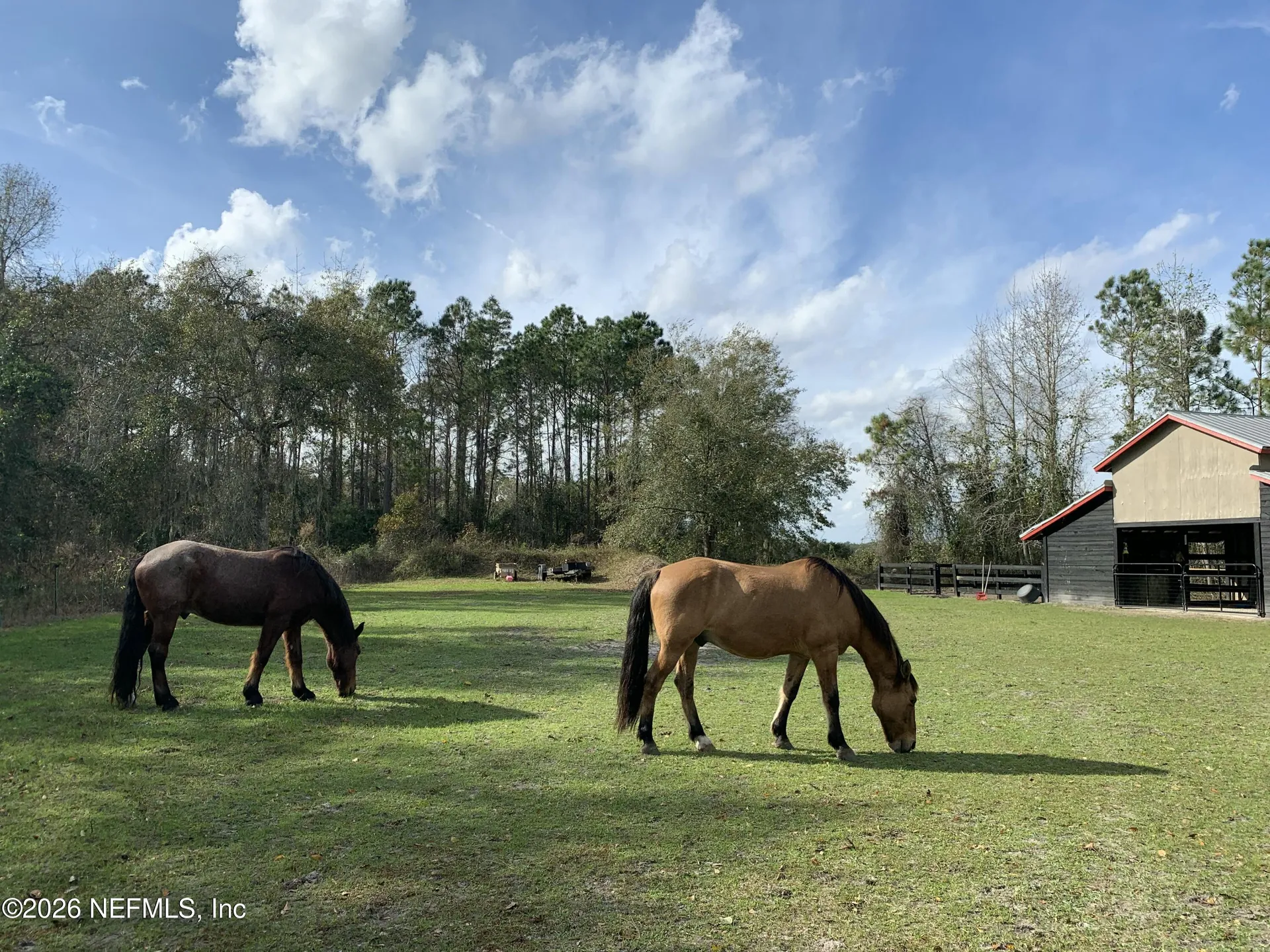 7006 County Road 208 St. Augustine FL 32092