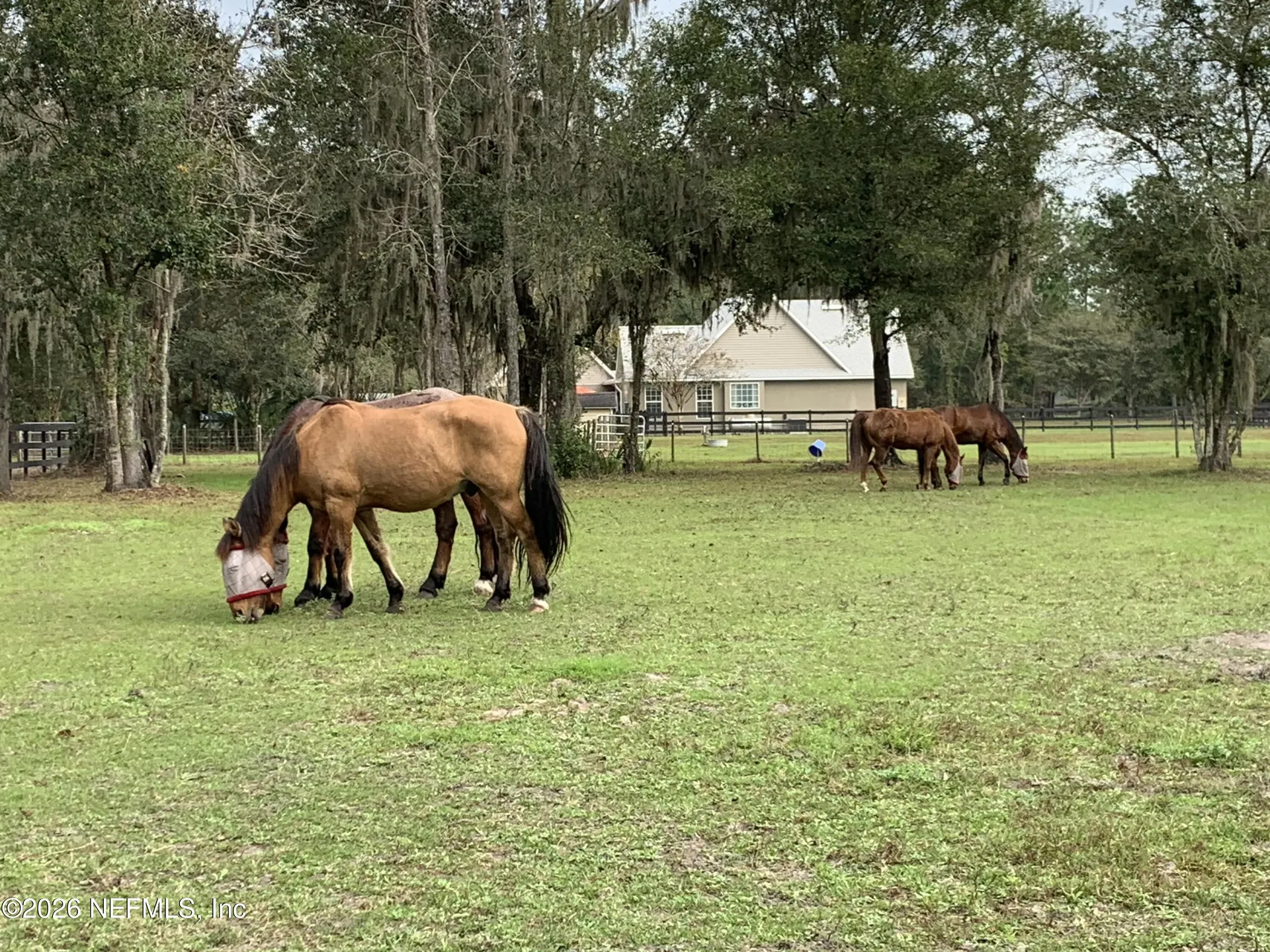 7006 County Road 208 St. Augustine FL 32092