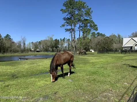 7006 County Road 208 St. Augustine FL 32092