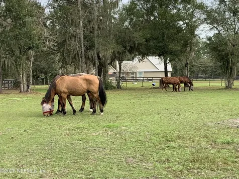 7006 County Road 208 St. Augustine FL 32092