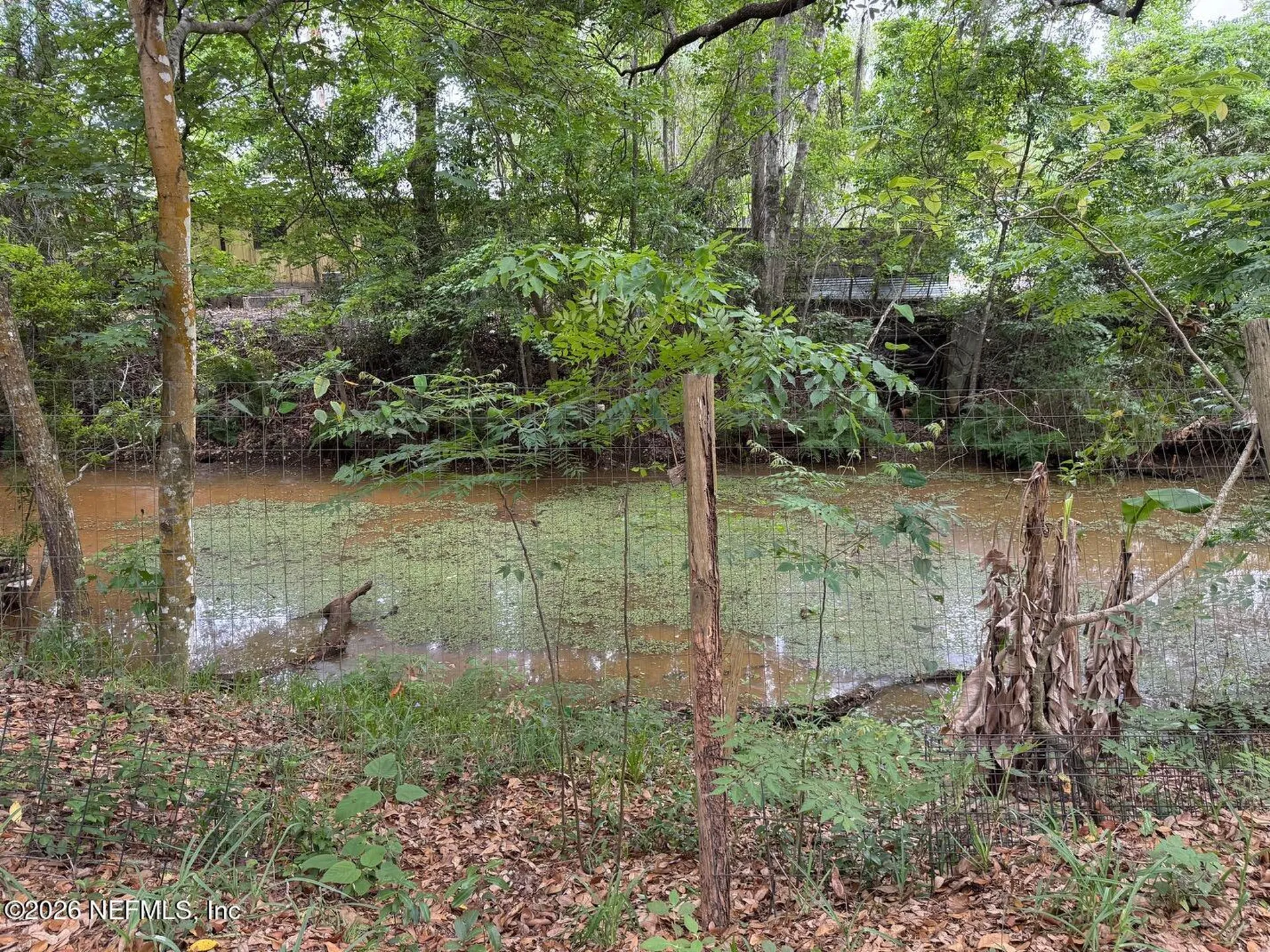 8105 Colee Cove Road St. Augustine FL 32092