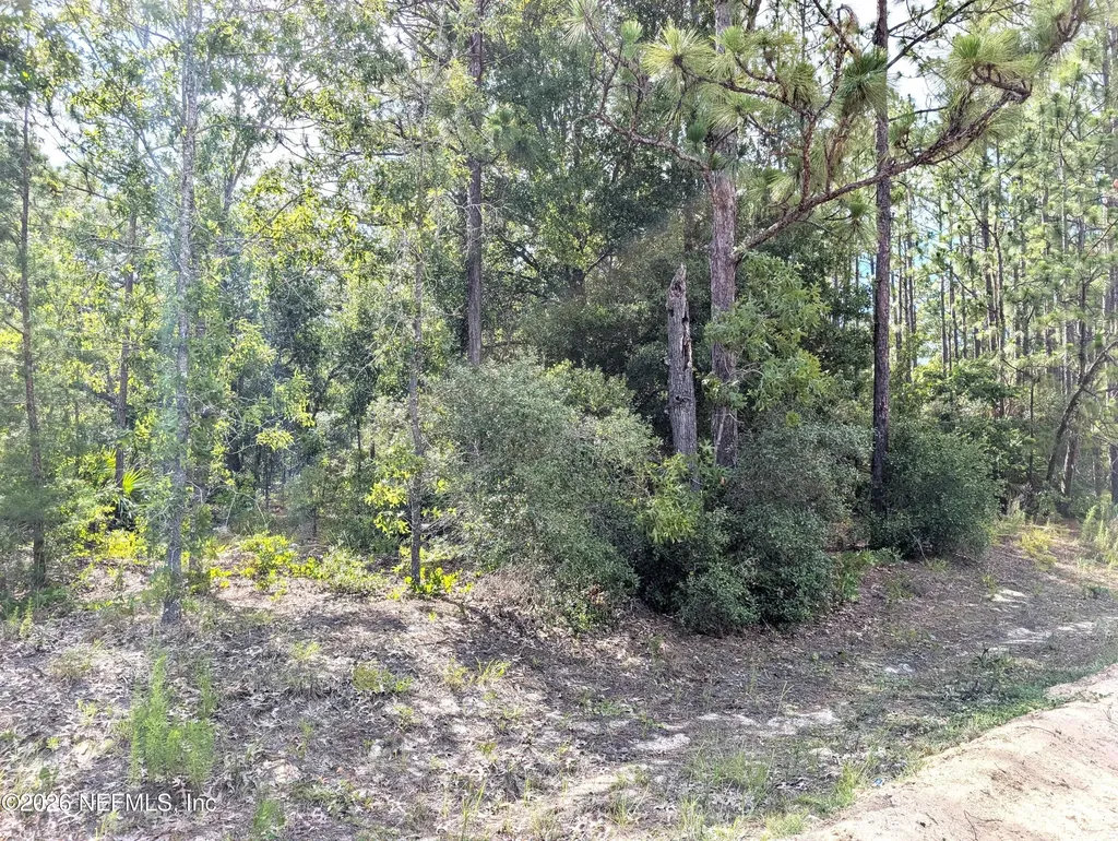 7676 Los Padres Avenue Keystone Heights FL 32656