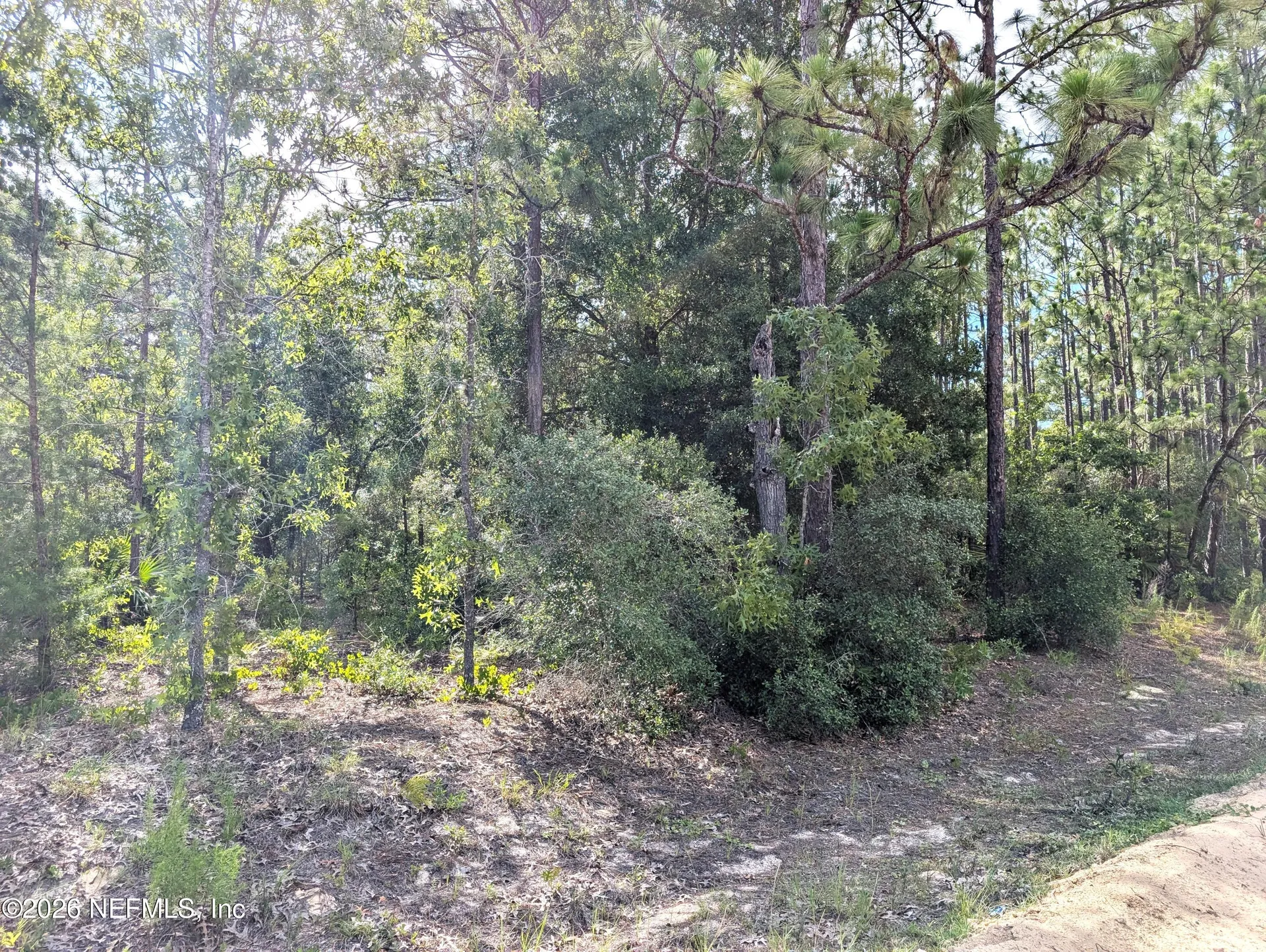 7676 Los Padres Avenue Keystone Heights FL 32656