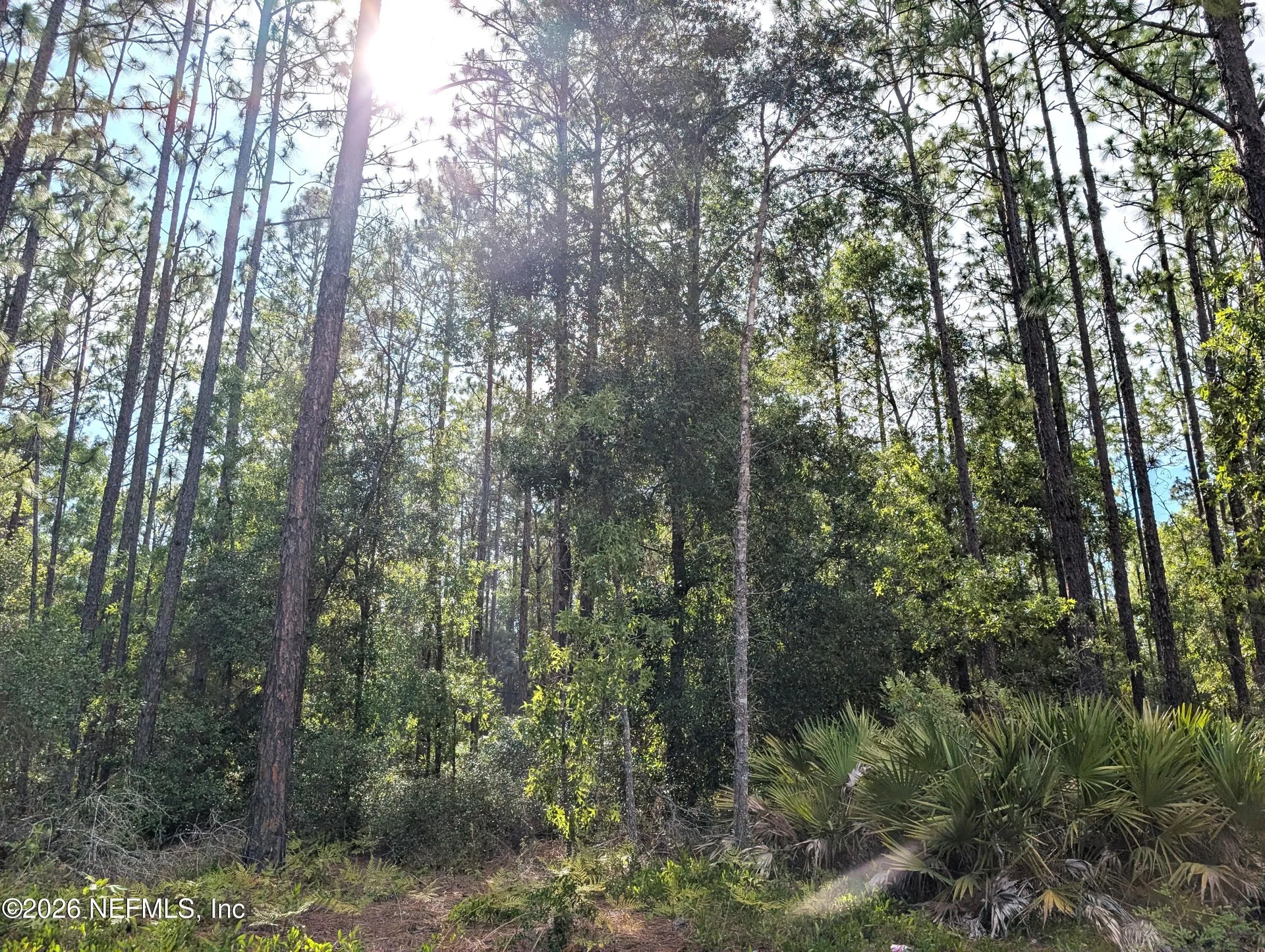 7676 Los Padres Avenue Keystone Heights FL 32656
