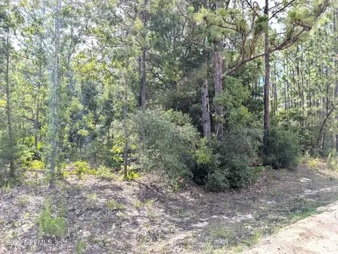 7676 Los Padres Avenue Keystone Heights FL 32656