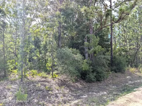 7676 Los Padres Avenue Keystone Heights FL 32656
