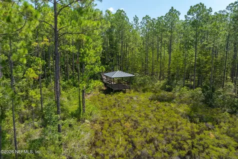 236 Ladyslipper Drive St. Johns FL 32259