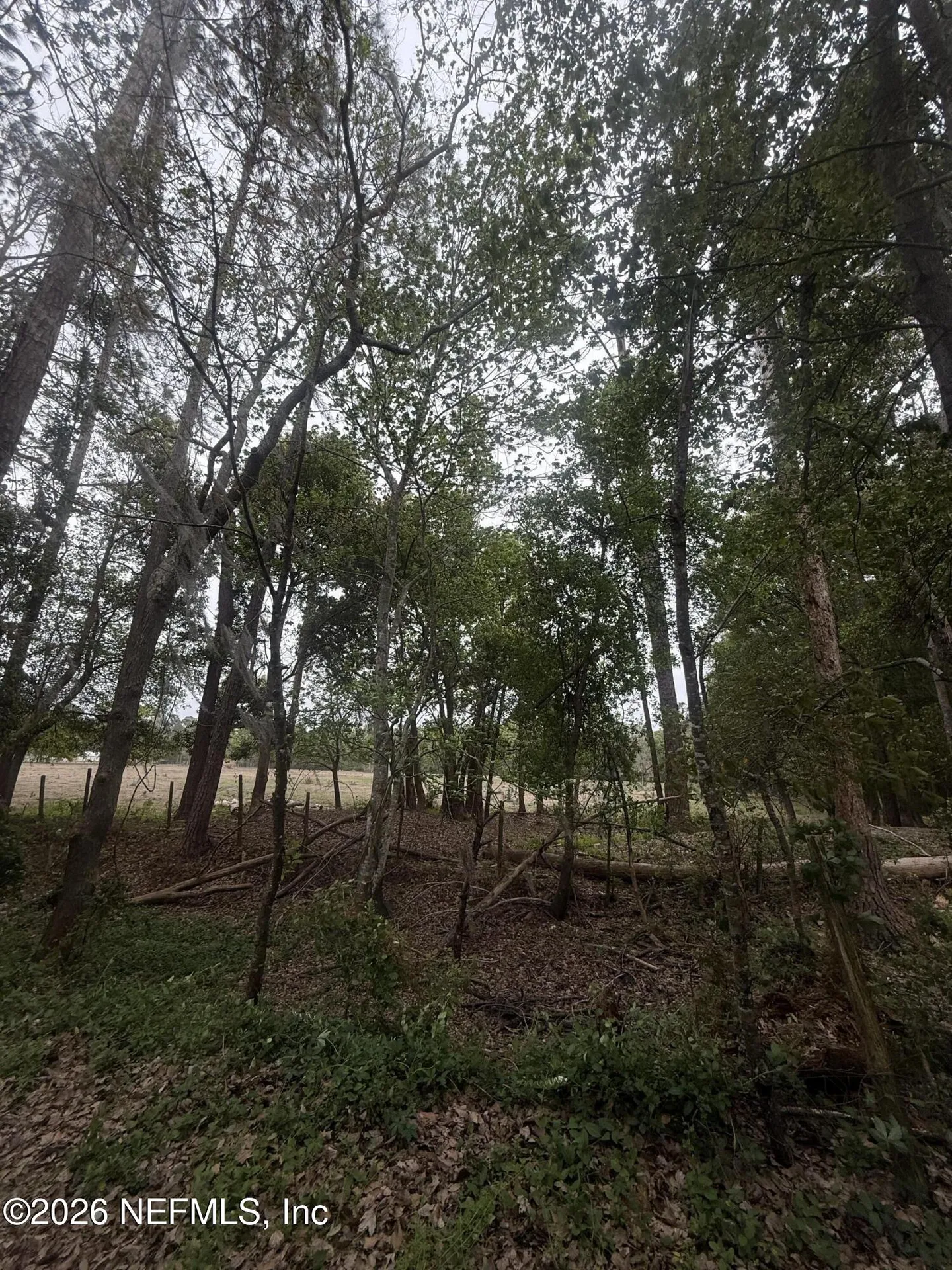 Tbd NE 163rd Street Starke FL 32091