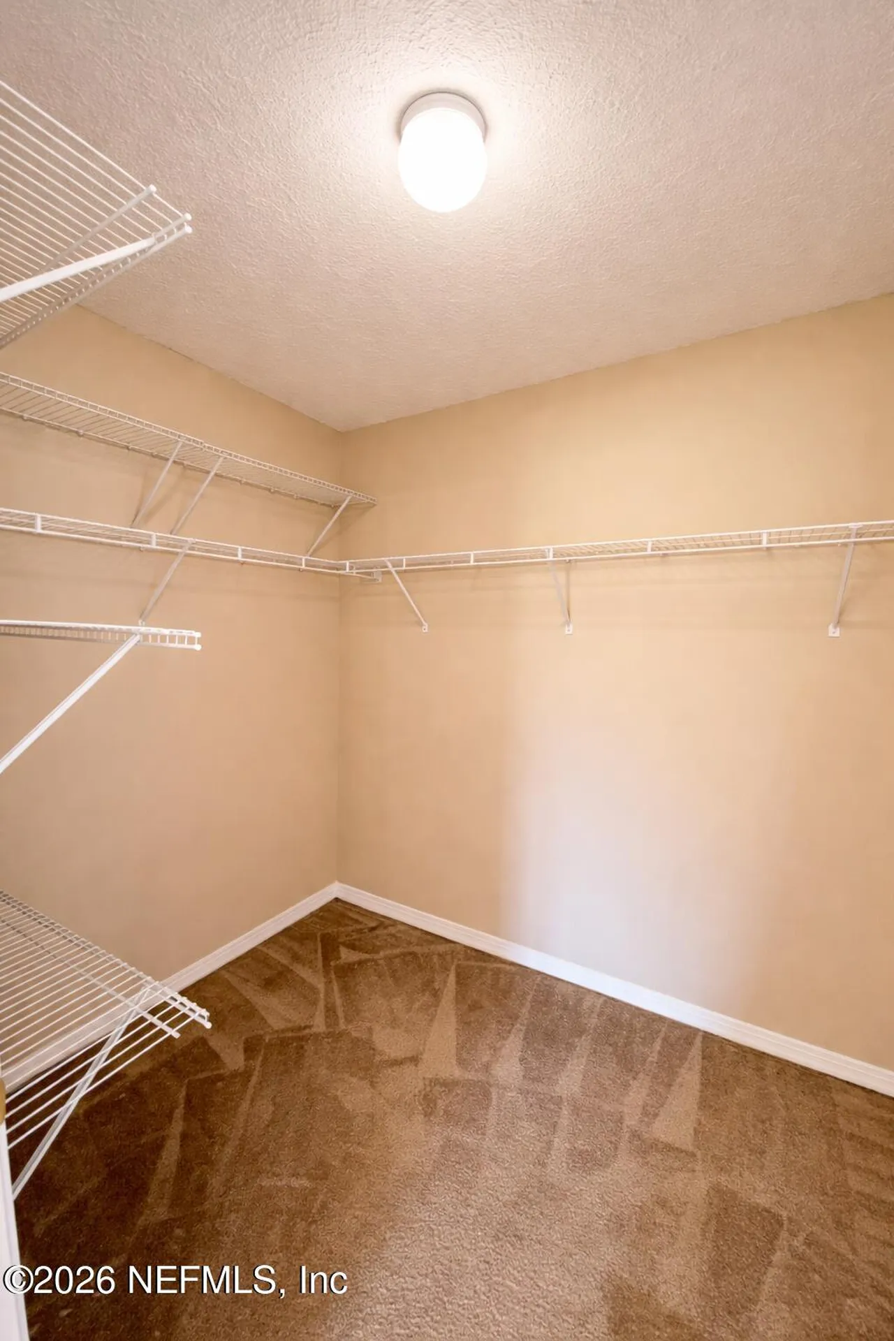 15677 Moss Hollow Drive Jacksonville FL 32218