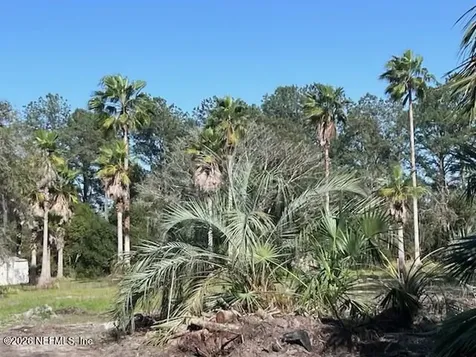 0 Reid Packing House Road Hastings FL 32145