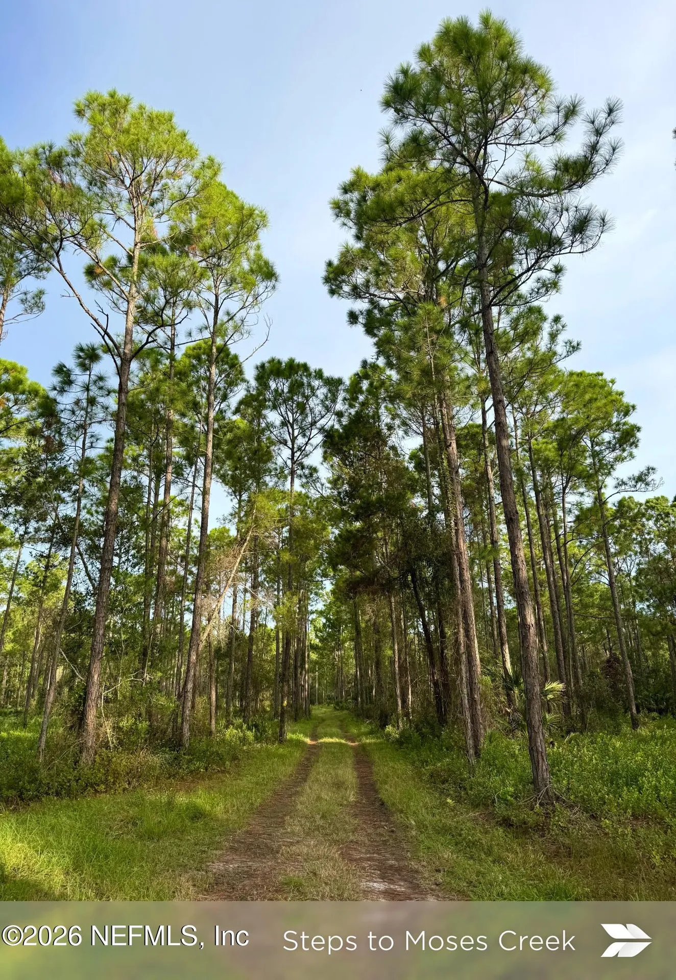 909 Eagle Drive St. Augustine FL 32086