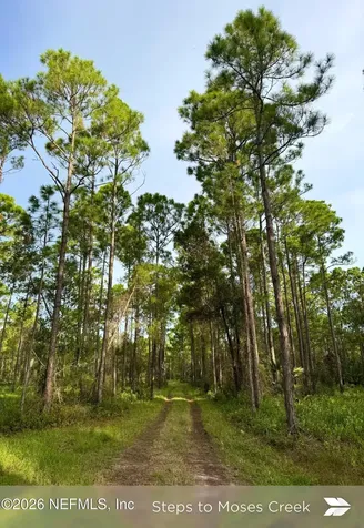909 Eagle Drive St. Augustine FL 32086