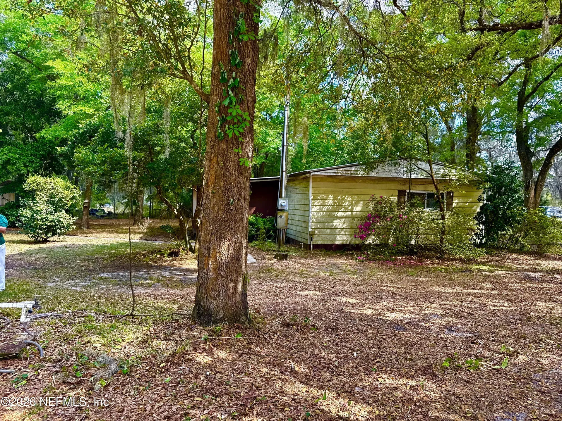 116 Patrician Place Satsuma FL 32189