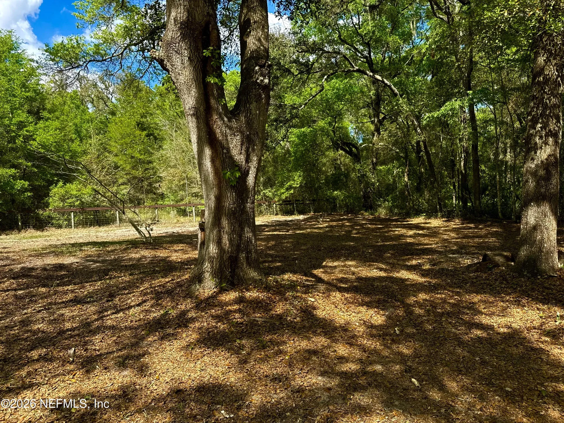 116 Patrician Place Satsuma FL 32189