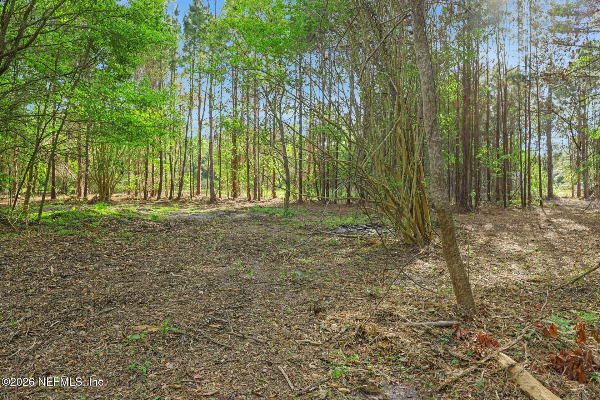 1133 Girvin Road Jacksonville FL 32225