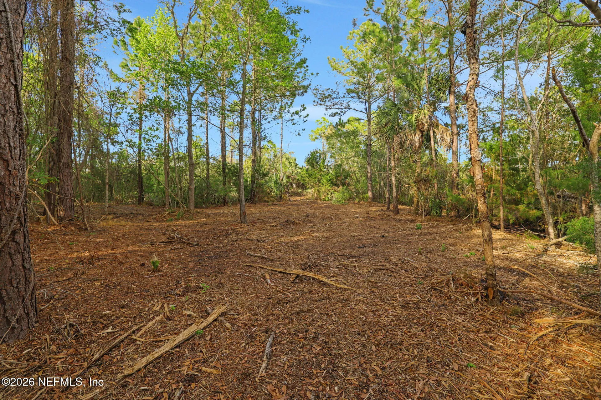 1133 Girvin Road Jacksonville FL 32225
