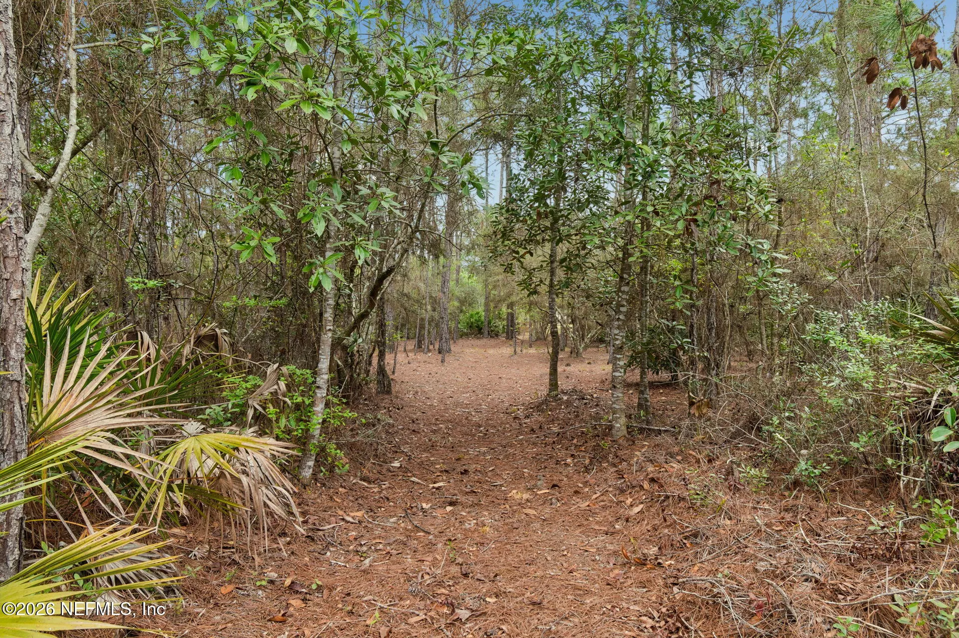 10293 Ford Road Bryceville FL 32009