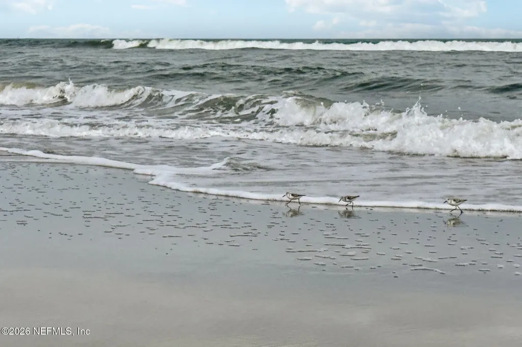 2802 2nd Street S Jacksonville Beach FL 32250