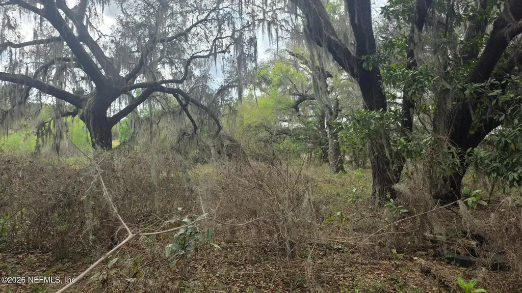 6656 County Road 315c Keystone Heights FL 32656