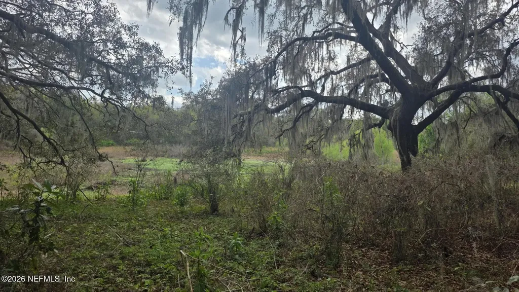 6656 County Road 315c Keystone Heights FL 32656