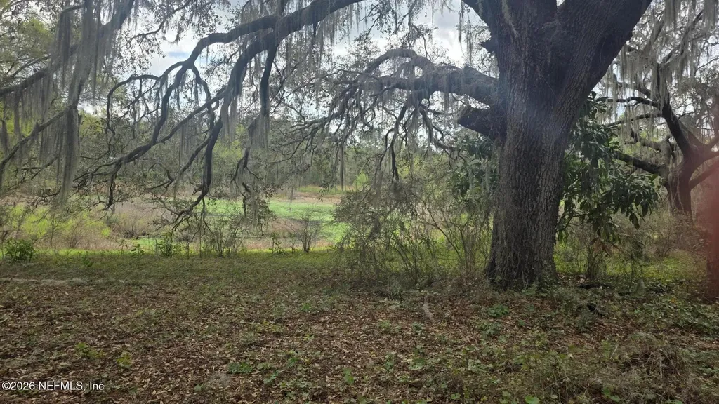6656 County Road 315c Keystone Heights FL 32656