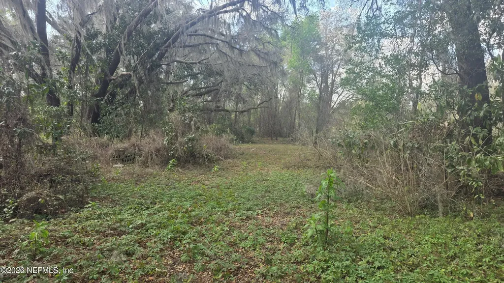 6656 County Road 315c Keystone Heights FL 32656