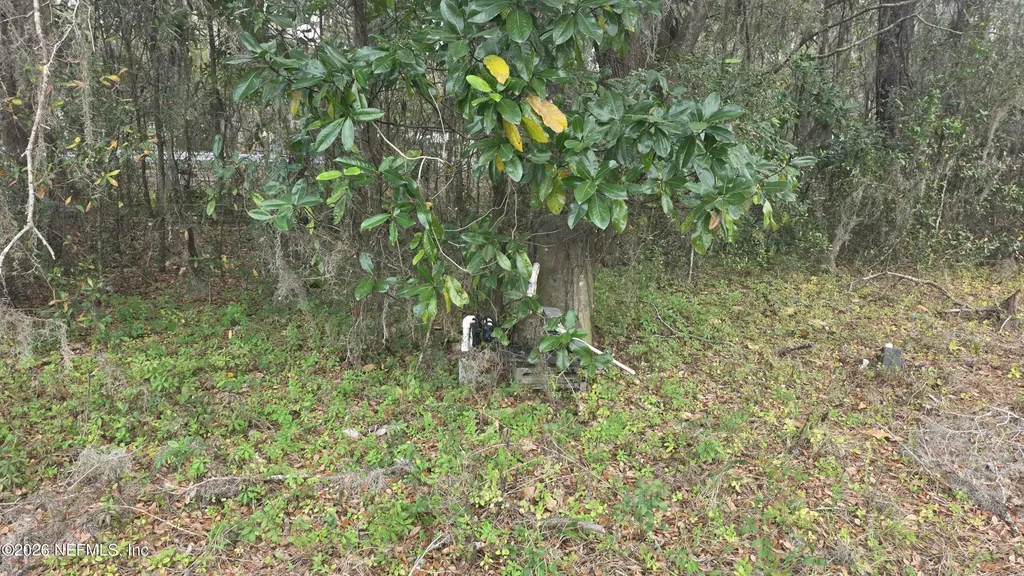 6656 County Road 315c Keystone Heights FL 32656