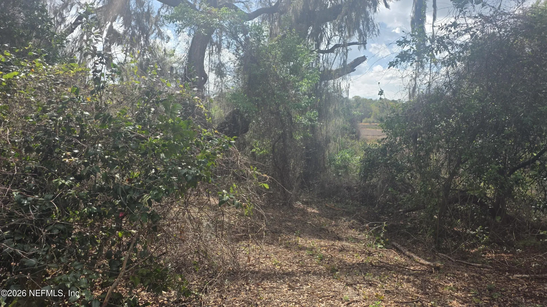 6656 County Road 315c Keystone Heights FL 32656