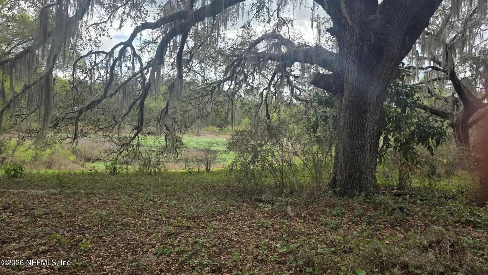 6656 County Road 315c Keystone Heights FL 32656
