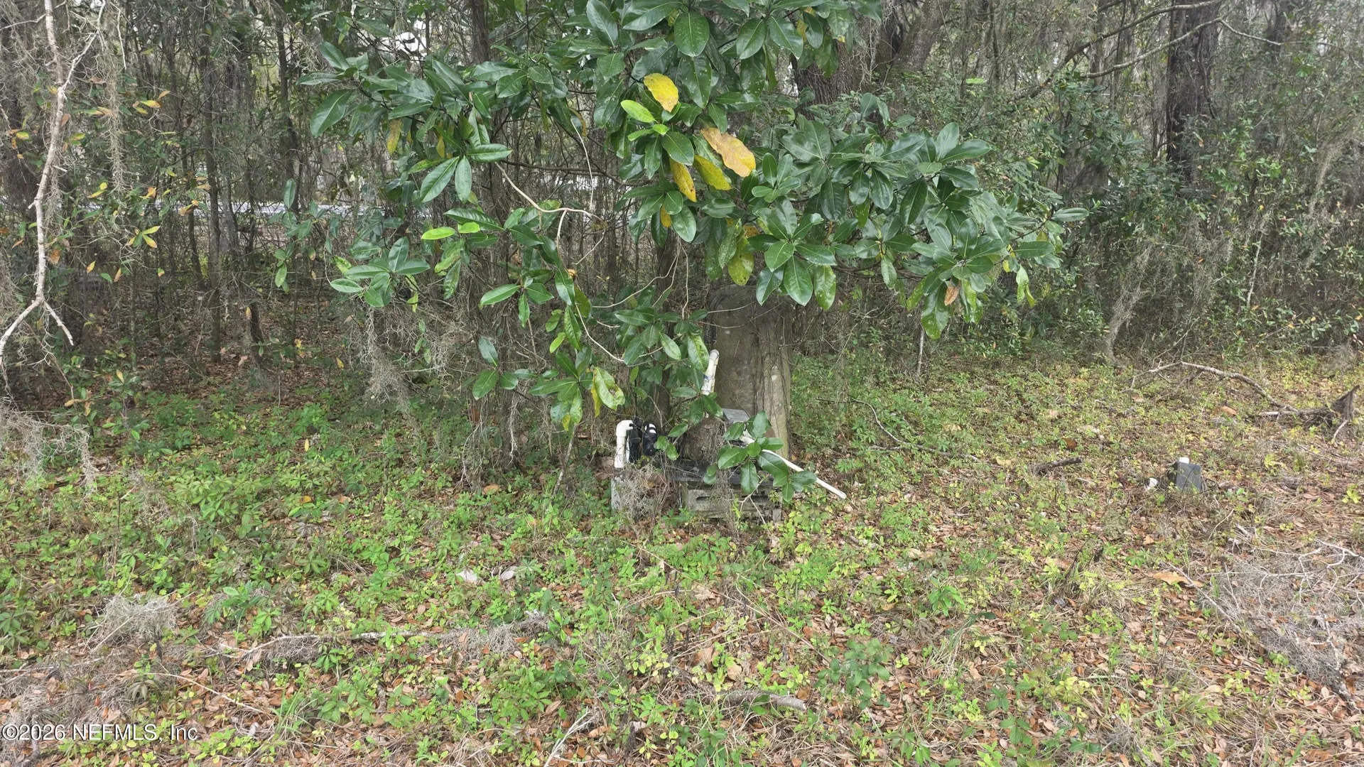 6656 County Road 315c Keystone Heights FL 32656