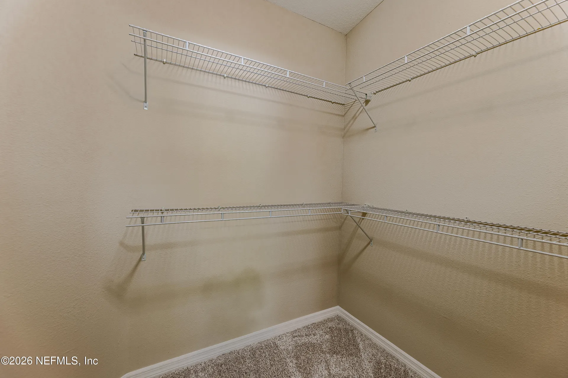 7942 Mulhall Drive Jacksonville FL 32216