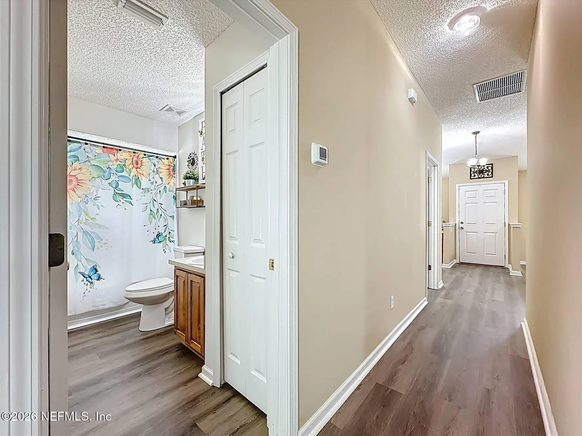 1190 Summer Springs Drive Middleburg FL 32068