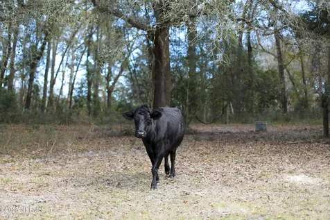6769 Sandsdale Road Macclenny FL 32063