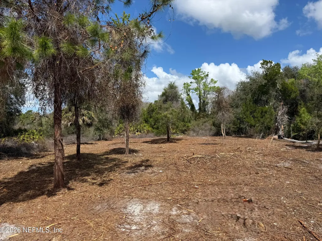 512 Dogwood Avenue Georgetown FL 32139