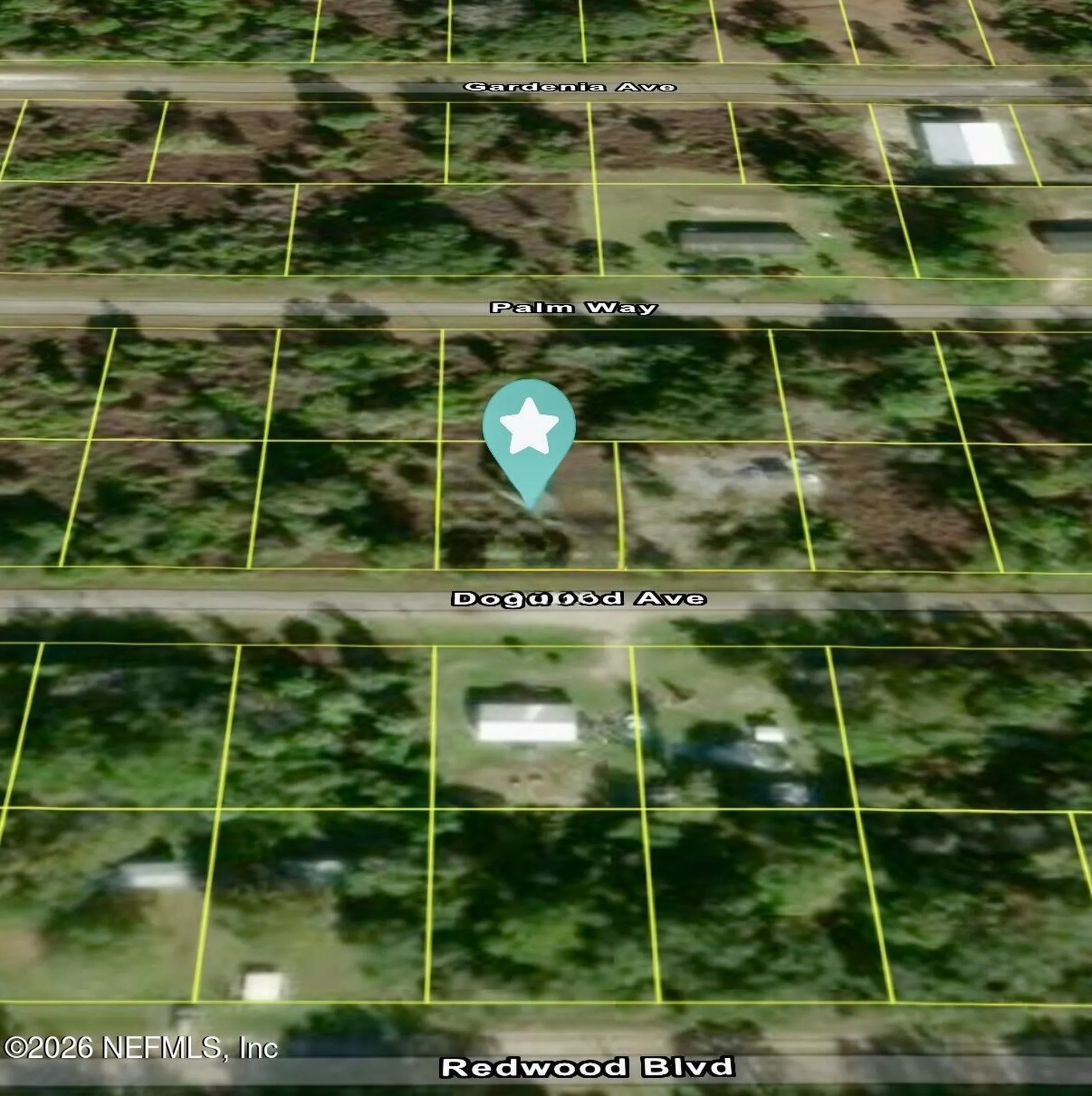 512 Dogwood Avenue Georgetown FL 32139