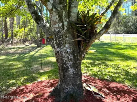 10200 Ebert Avenue Hastings FL 32145