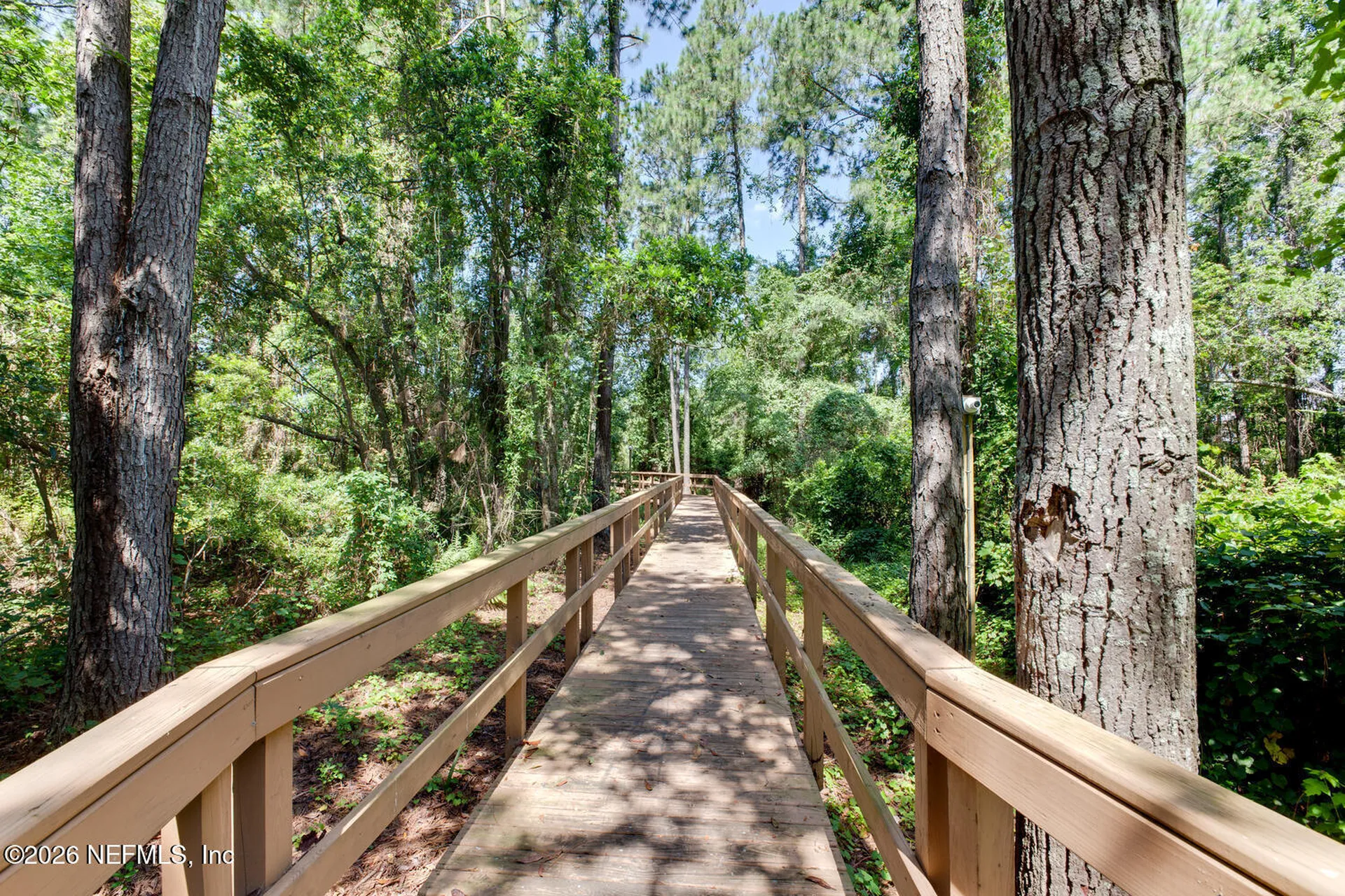 1133 Candlebark Drive Jacksonville FL 32225