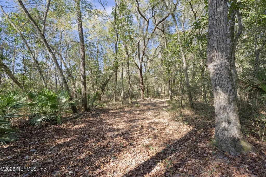 Parcel 7 Pine Island Road Ponte Vedra FL 32081