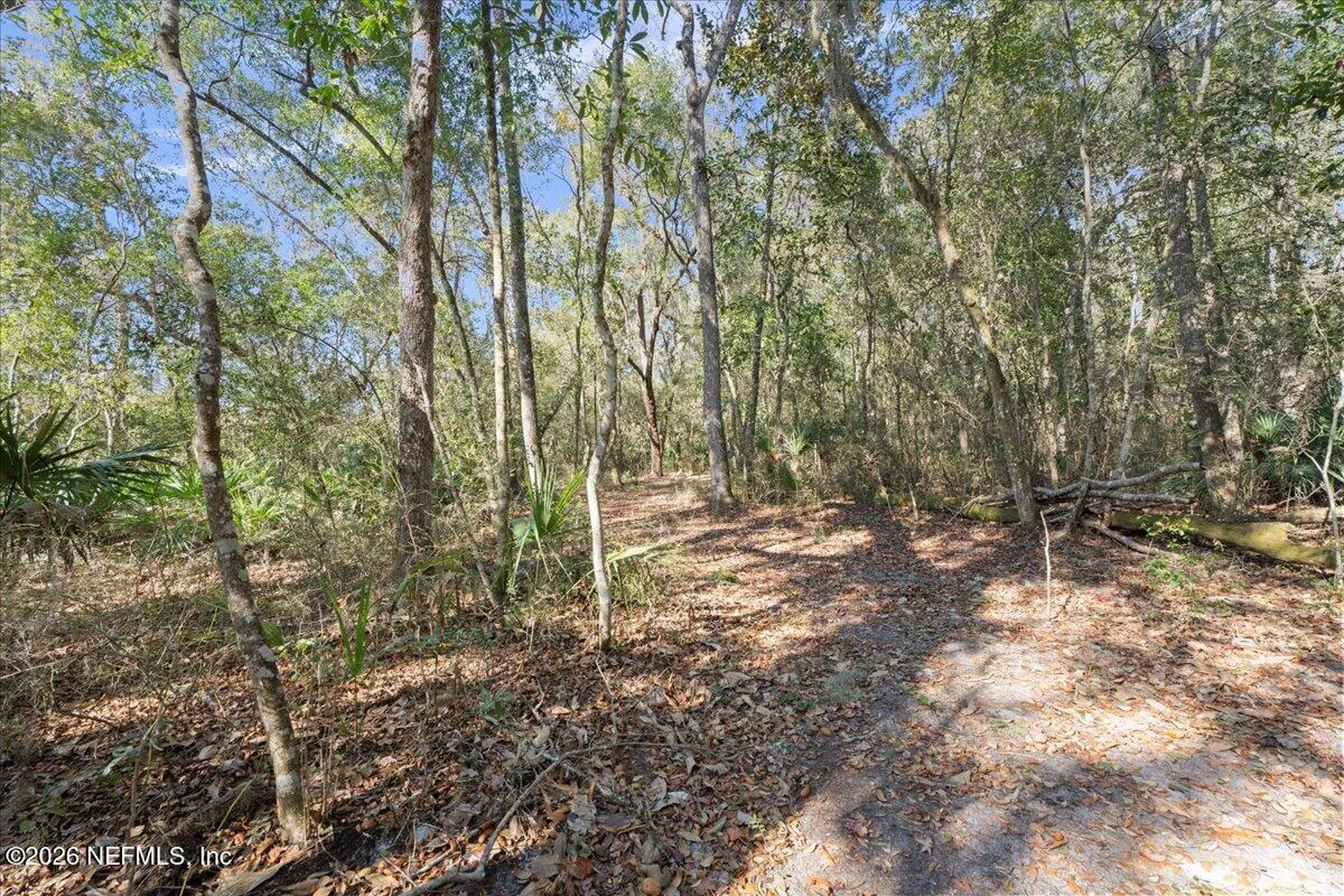 Parcel 7 Pine Island Road Ponte Vedra FL 32081