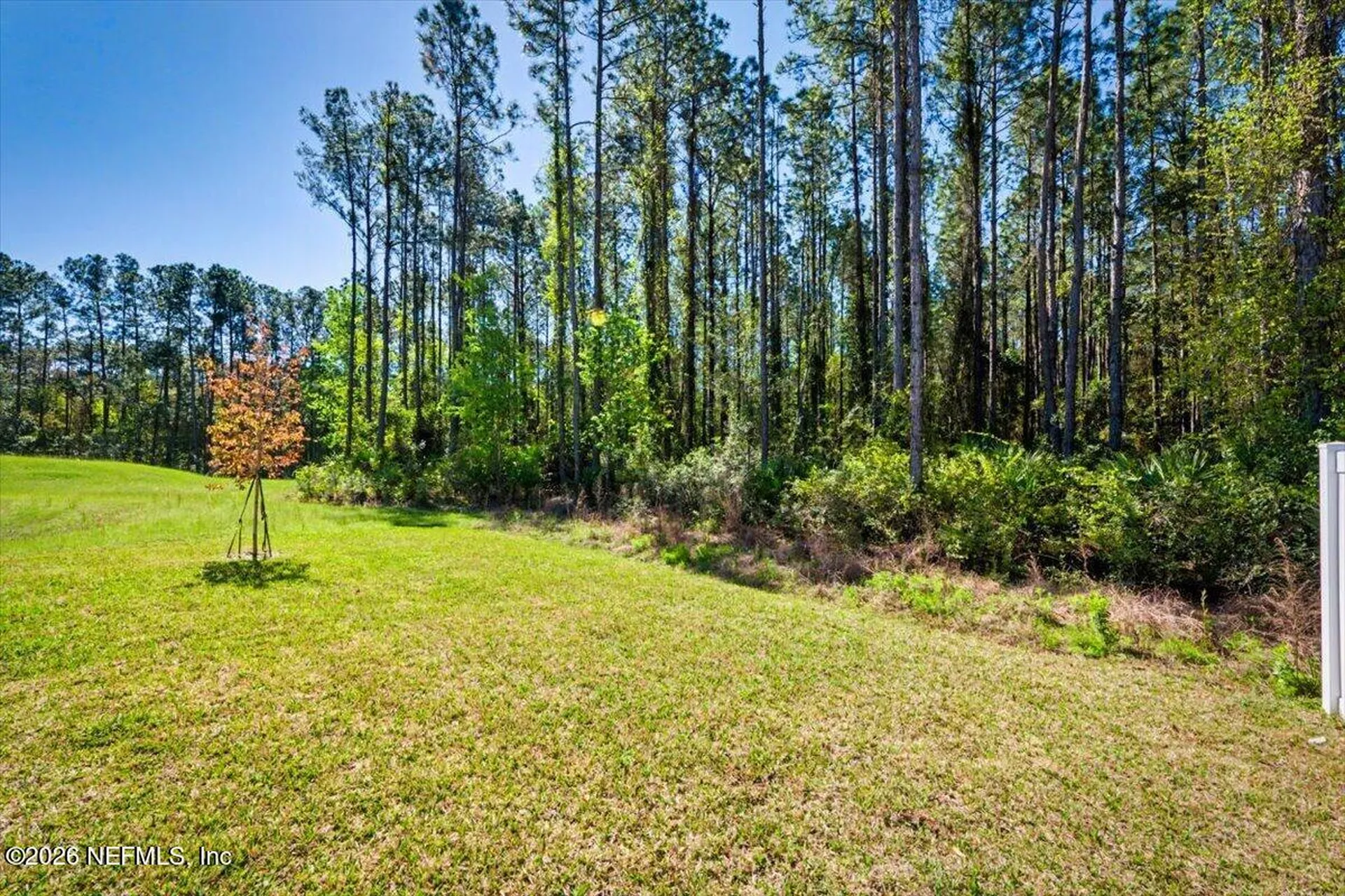 4763 Argand Drive Jacksonville FL 32218