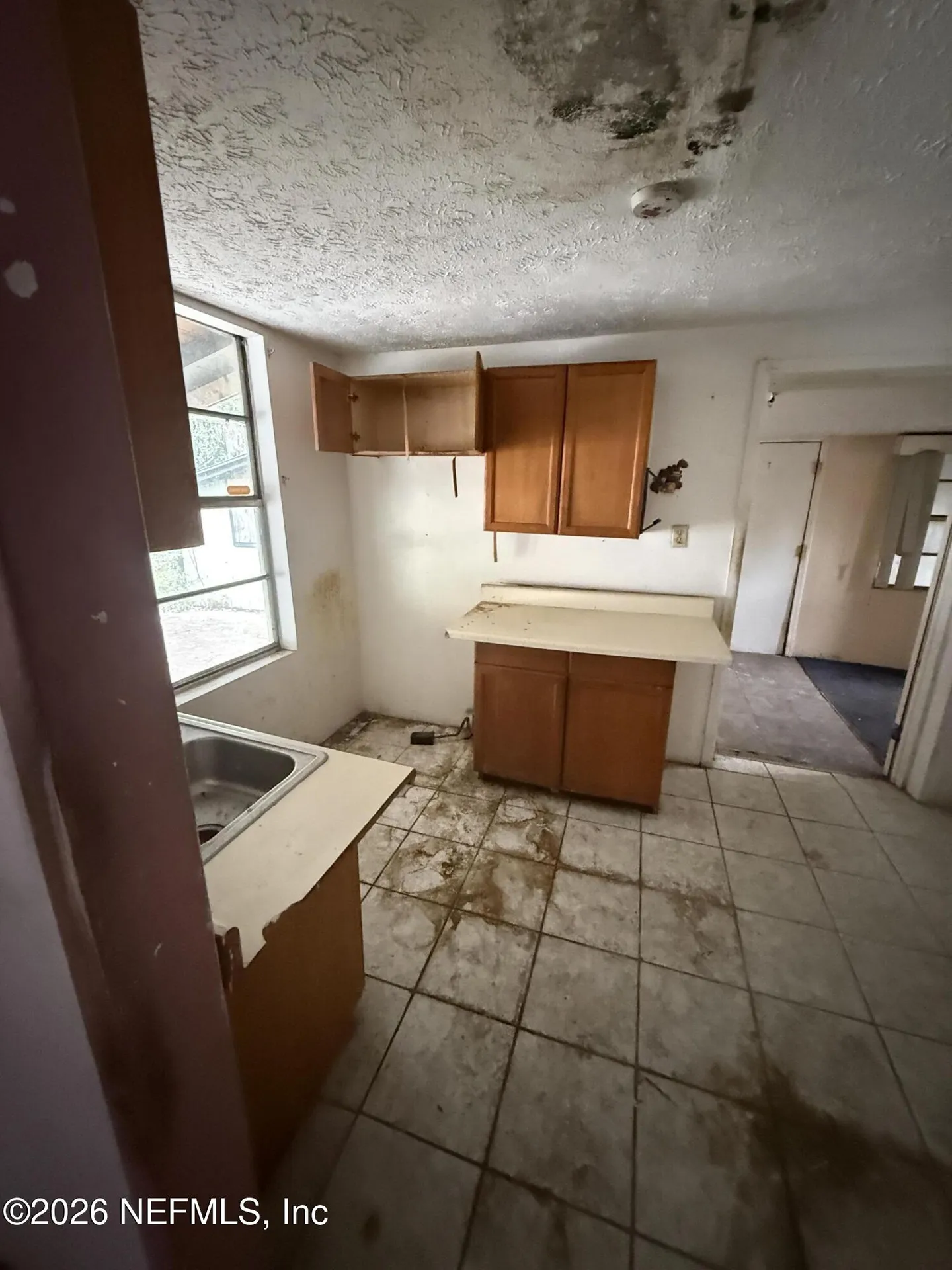 2576 Lewis Street Jacksonville FL 32204