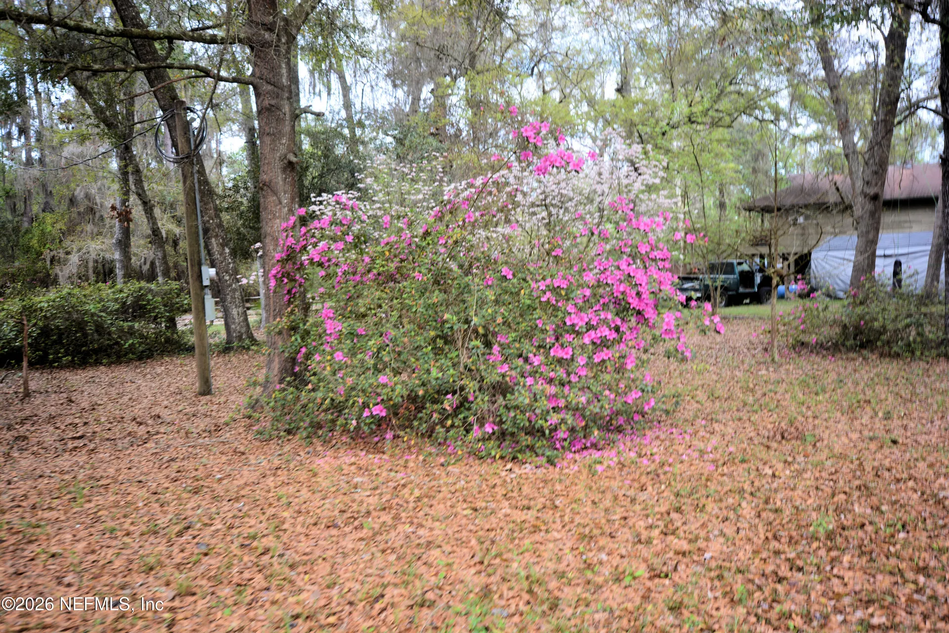 707 Hillsborough Avenue Florahome FL 32140