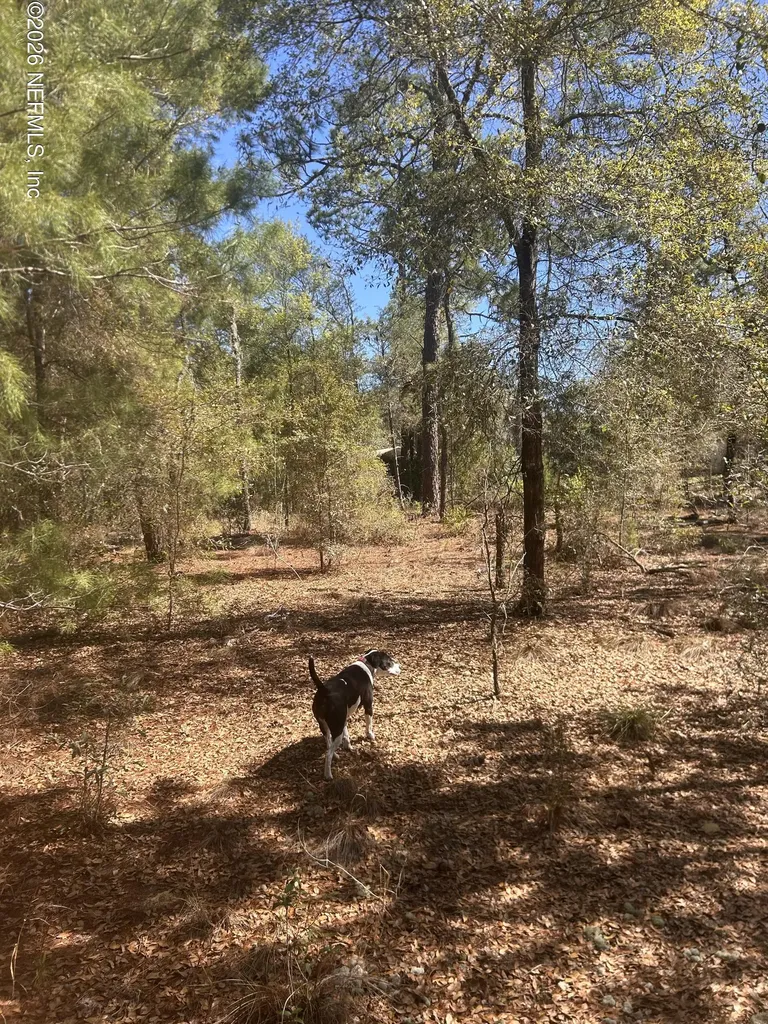0 Honeysuckle Trail Hawthorne FL 32640