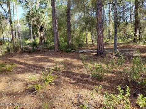 426 Carteret Road Georgetown FL 32139