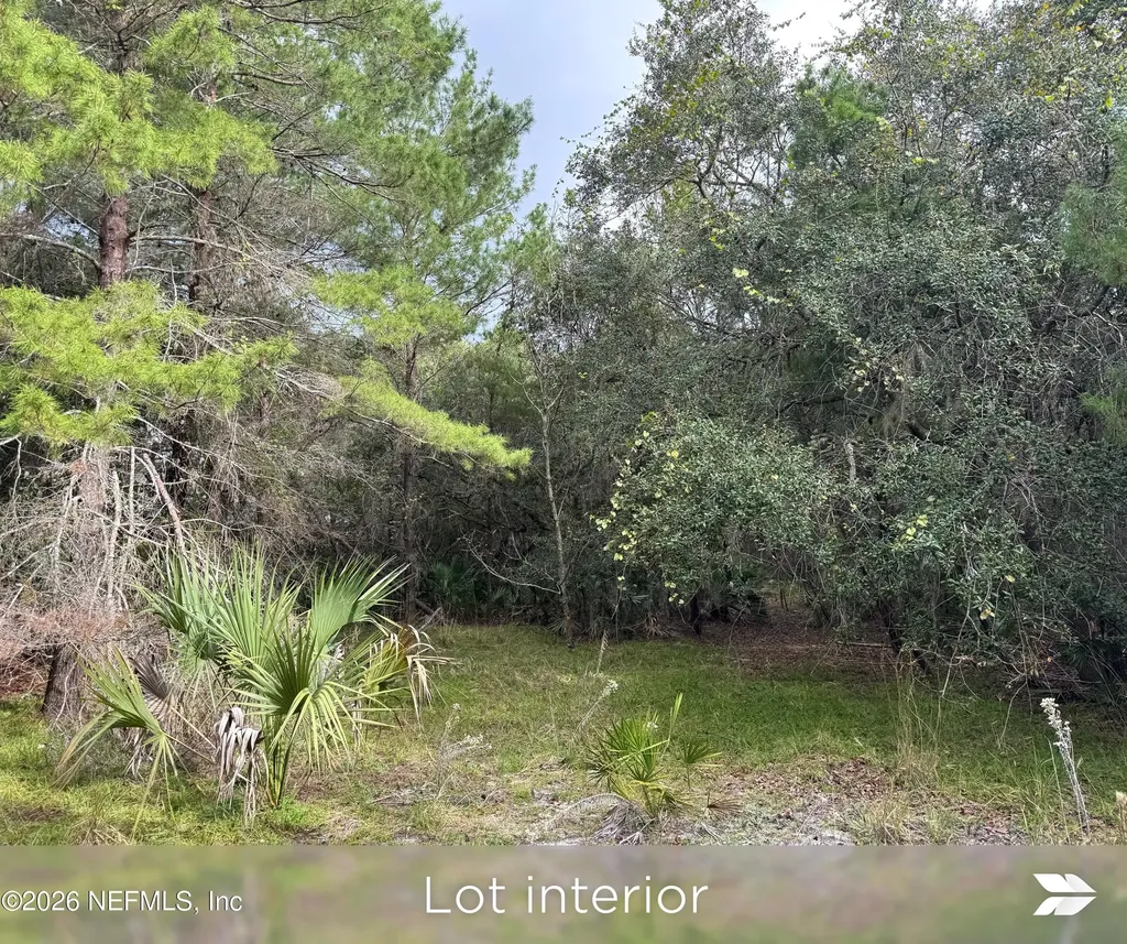 Lot 2 909 Eagle Drive St. Augustine FL 32086