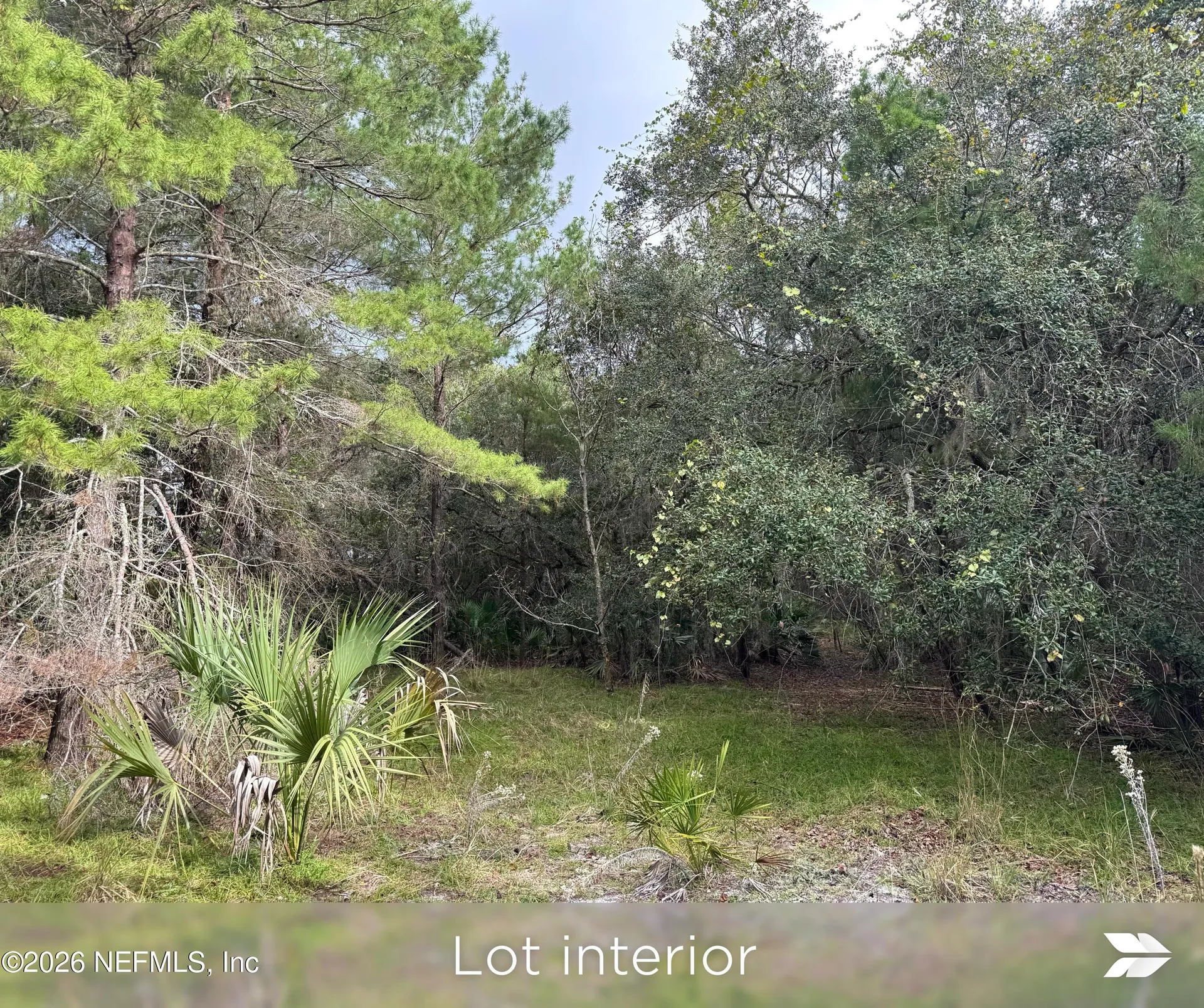 Lot 2 909 Eagle Drive St. Augustine FL 32086