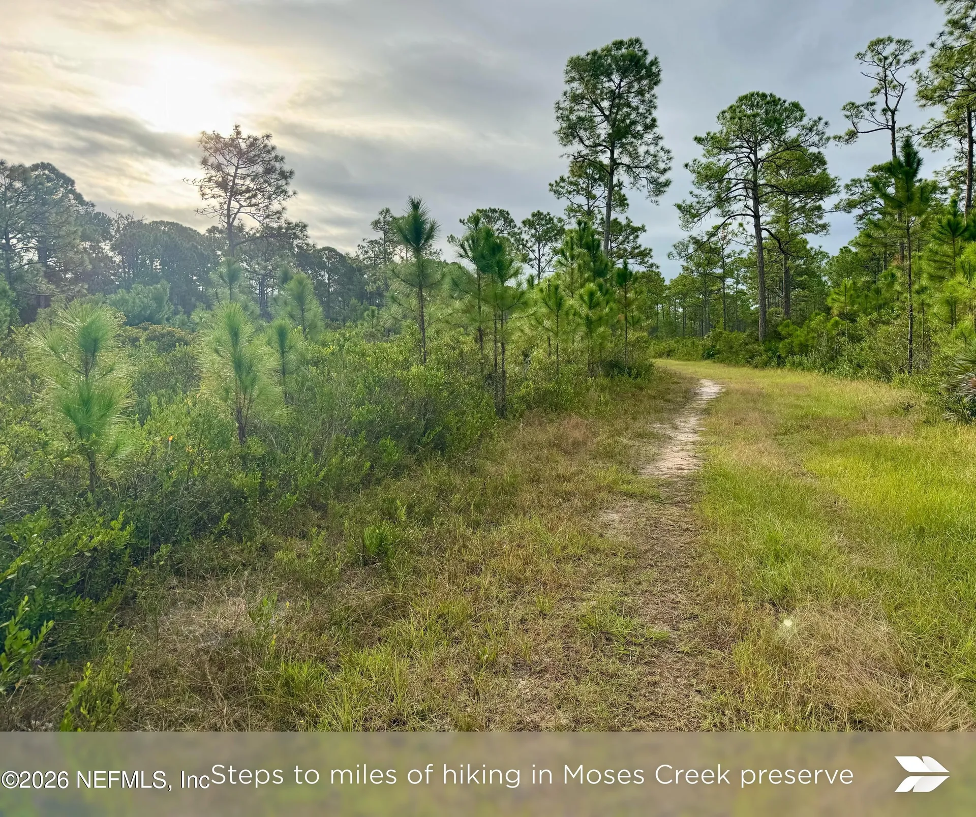 Lot 2 909 Eagle Drive St. Augustine FL 32086