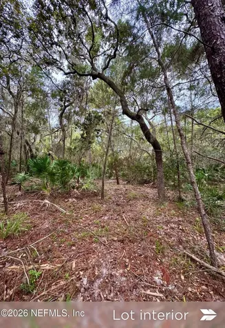 Lot 2 909 Eagle Drive St. Augustine FL 32086